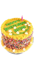 WhatsApp Image 2025 10 20 At 13.37.35 1 Removebg Preview 140x300